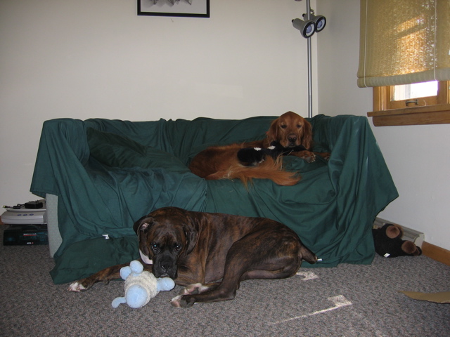 Nigel and Puck, with their stuffed animals