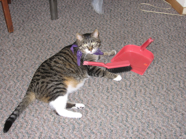 George, helping clean the house