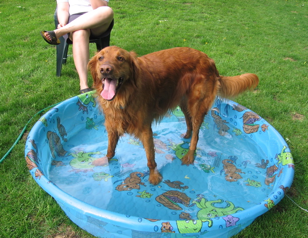 Pool party!