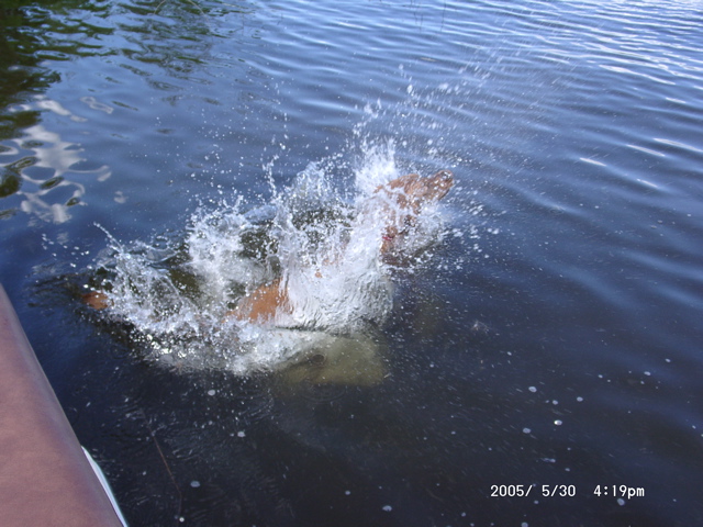 Nigel splashing into the ater