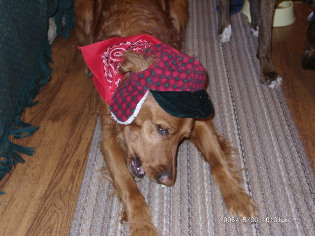 Nigel