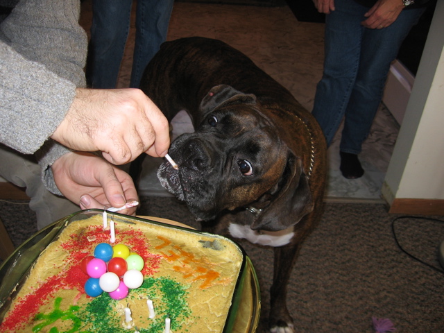 Licking the candles