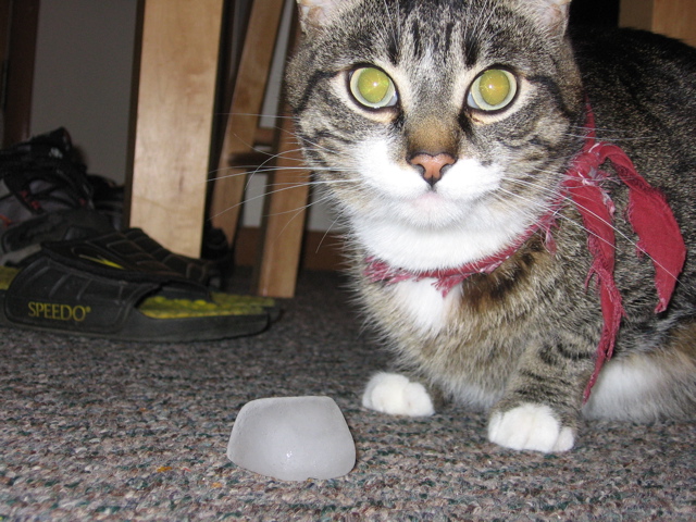 George, trying some ice