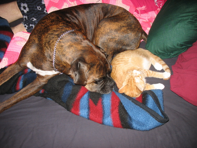 Puck and Niko
