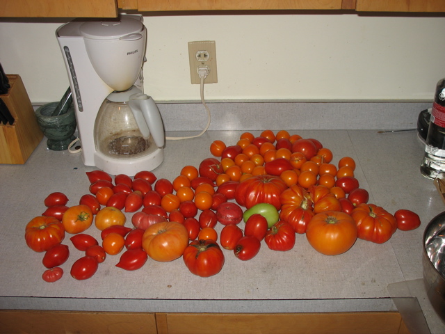 More garden harvest